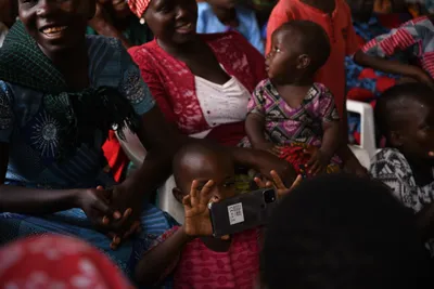 DSC_3348 (Large).JPG